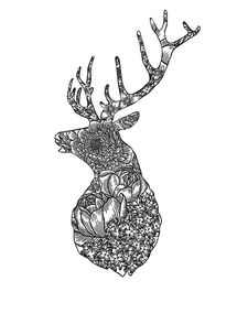 品牌插画平面设计 视觉语言与商业价值的完美融合